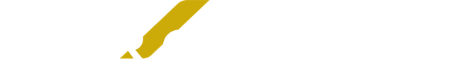Seiler Gutachten